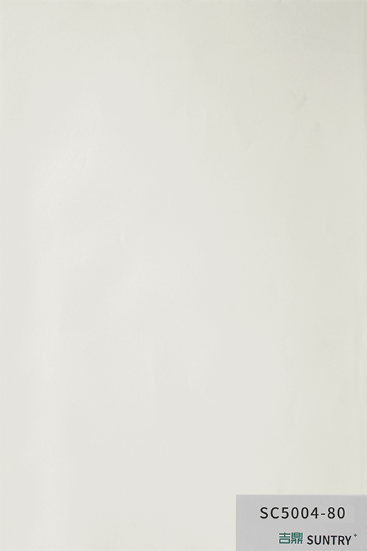 SC5004-80