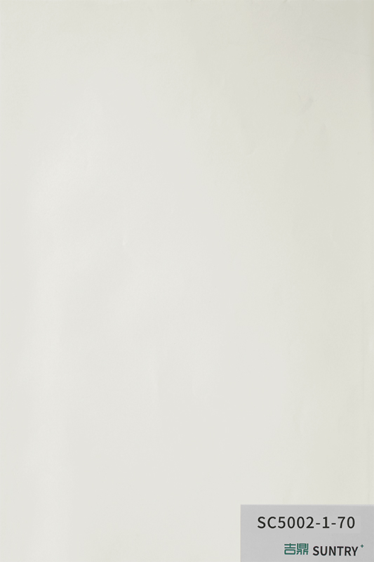 SC5002-1-70