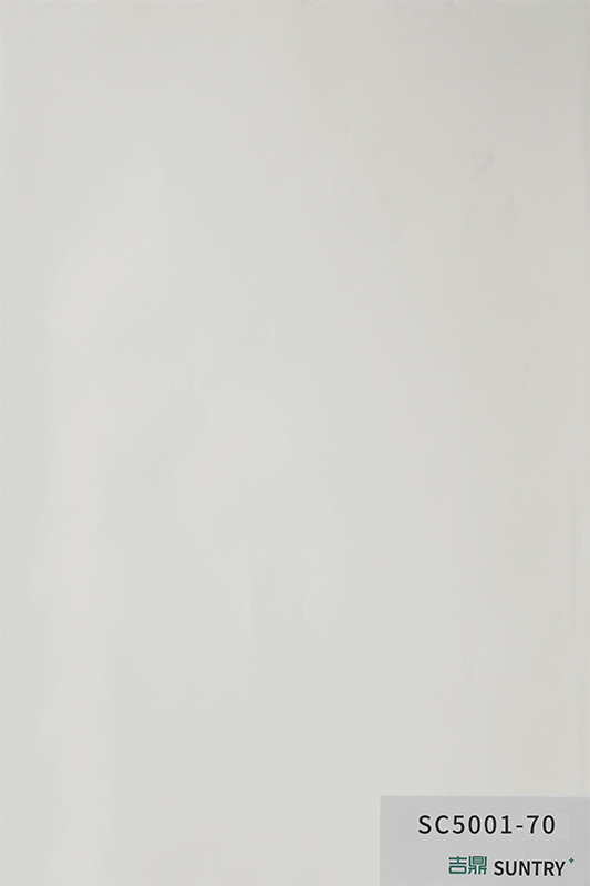 SC5001-70