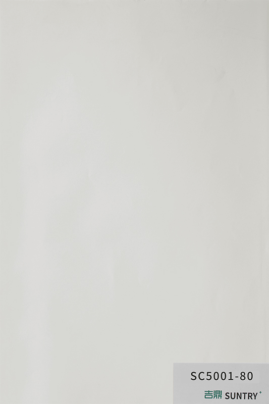 SC5001-80
