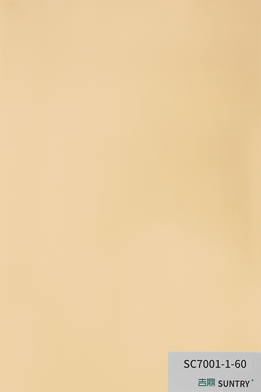 SC7001-1-60 SC7001-1-60